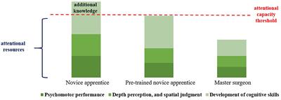 Validation of Training and Acquisition of Surgical Skills in Veterinary Laparoscopic Surgery: A Review